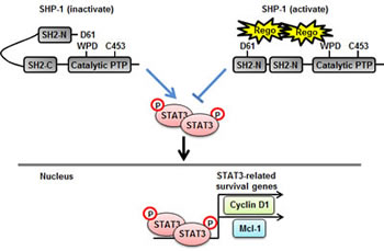 fig6