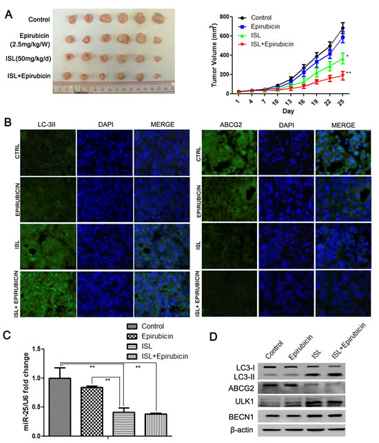 fig6