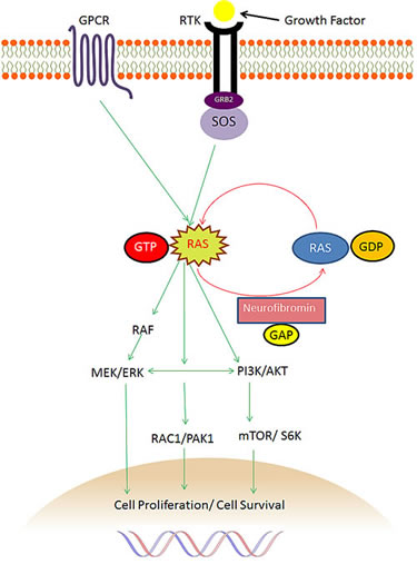 fig1