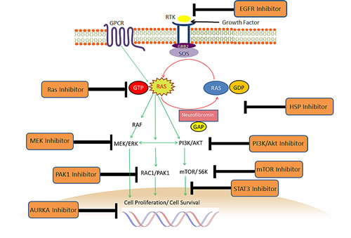 fig3