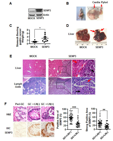 fig3