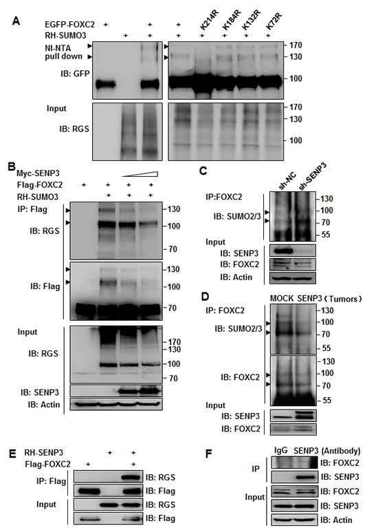 fig4