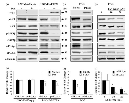 fig2