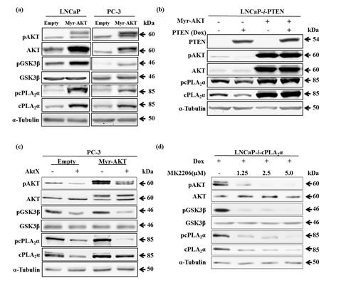 fig3