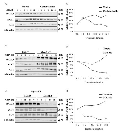 fig5