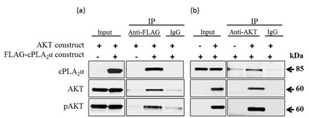 fig6