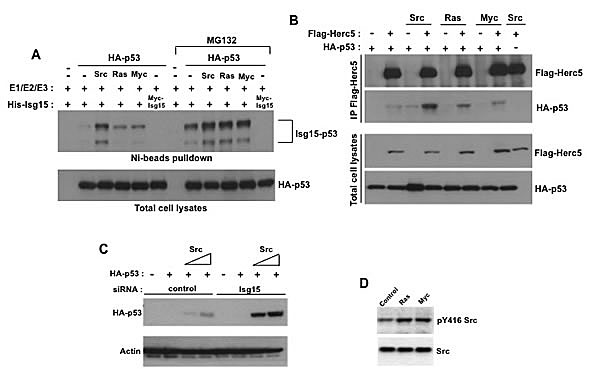 fig1
