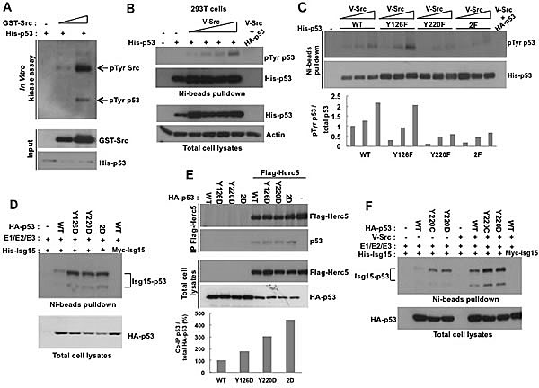 fig3