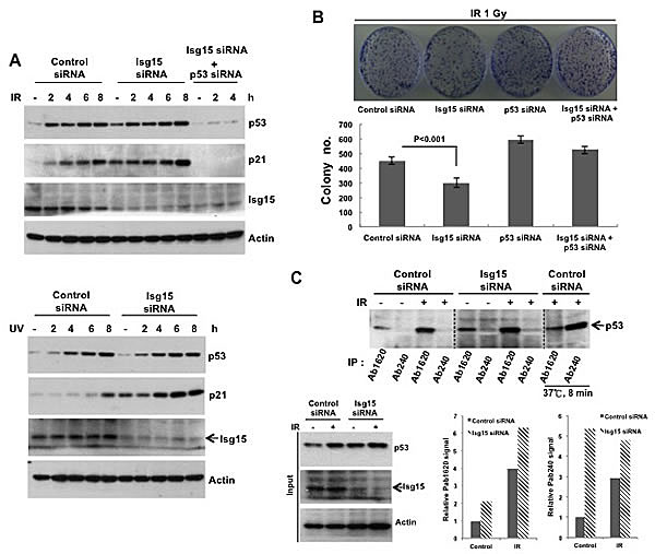 fig6