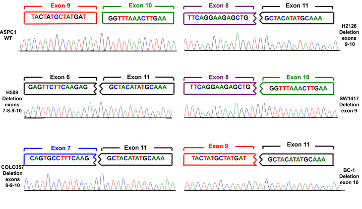 Fig2.pdf