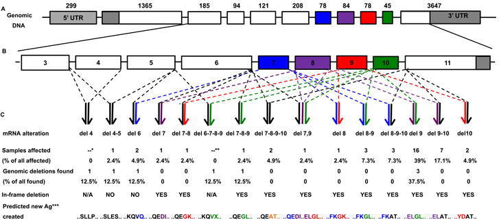 Fig1.pdf