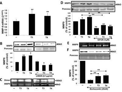 fig2