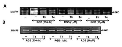 fig3