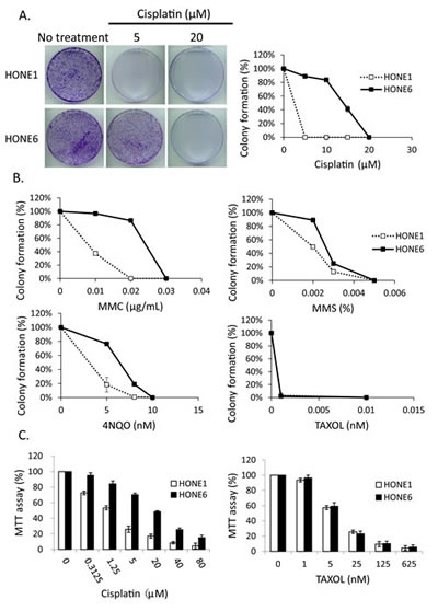 FIG1