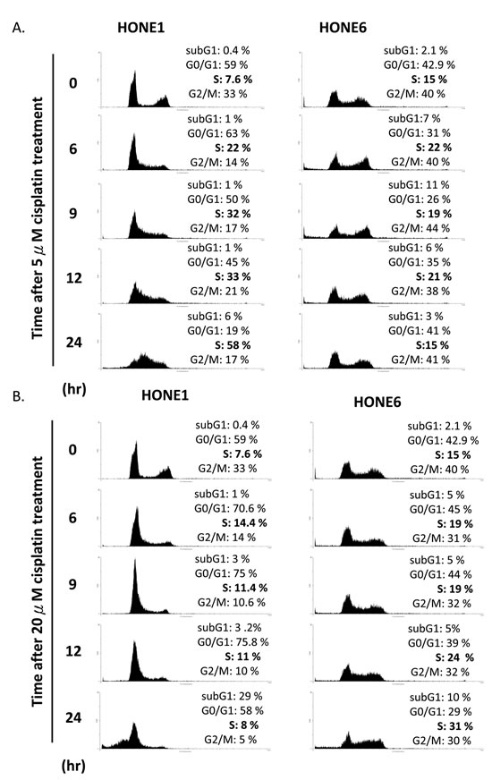 FIG3