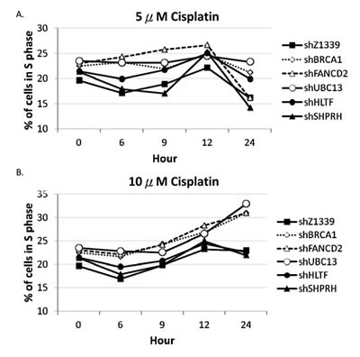 FIG7