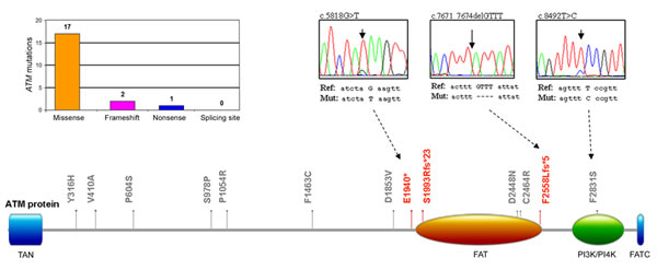 fig2