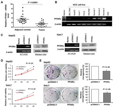 FIG2