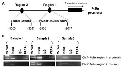 FIG6