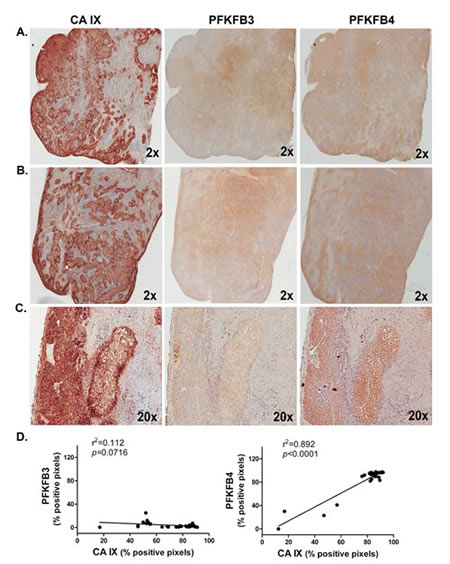 fig9