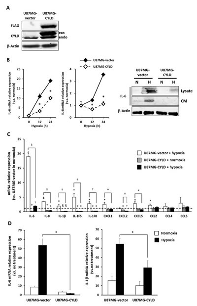 FIG2