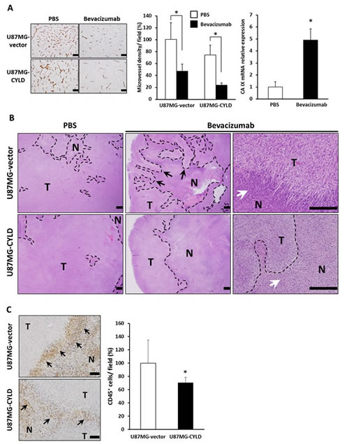 FIG3