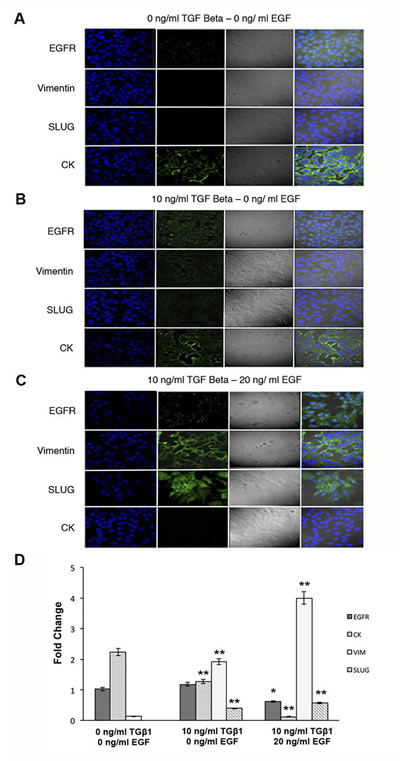 FIG3