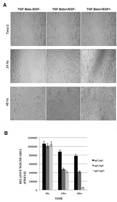 FIG4
