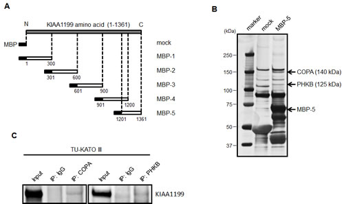 fig3
