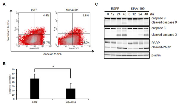 fig6