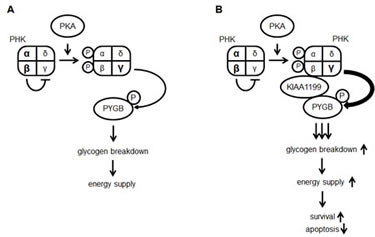 fig7