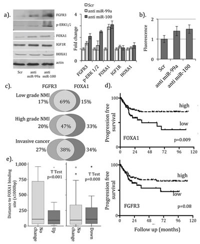 fig1