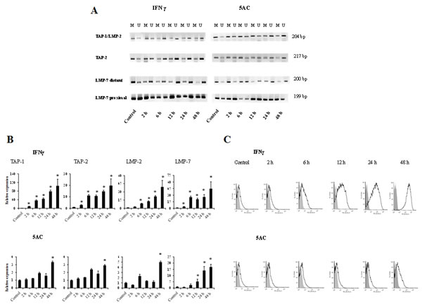 fig5