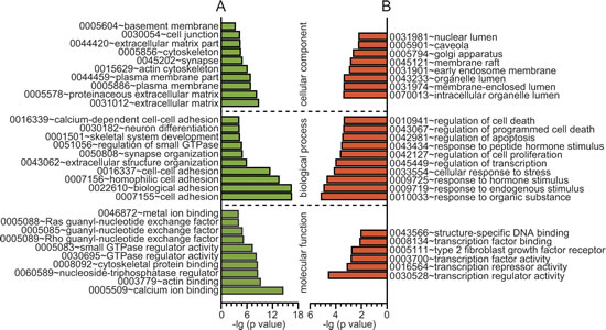 fig2