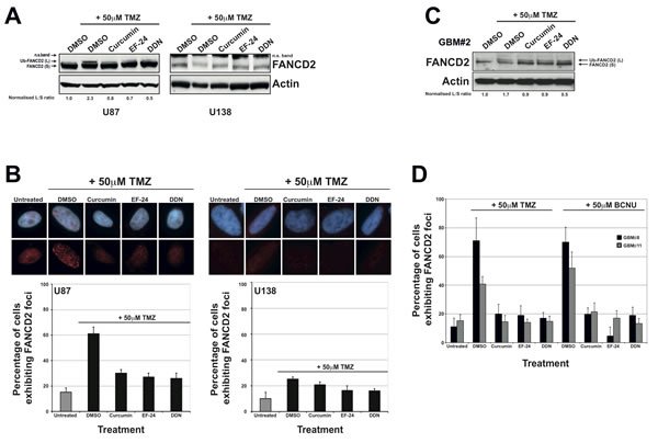 fig2