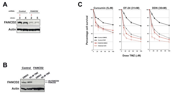 fig4