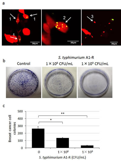 fig1