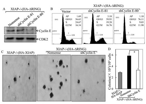 FIG3