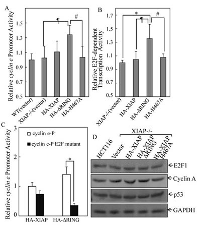 FIG4