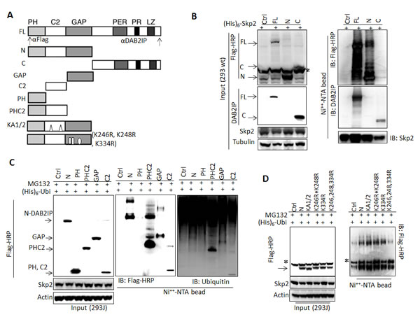 fig3