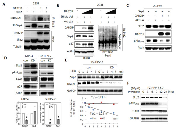 fig4