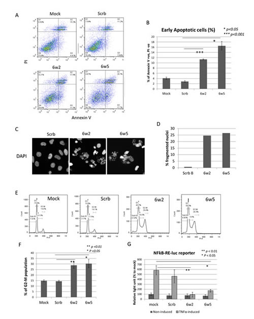 fig3