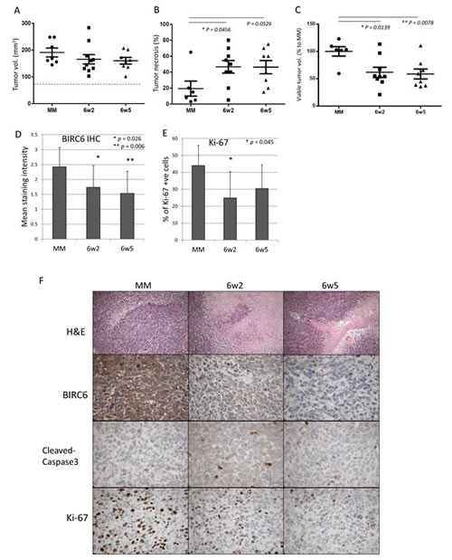 fig4
