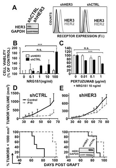 fig3