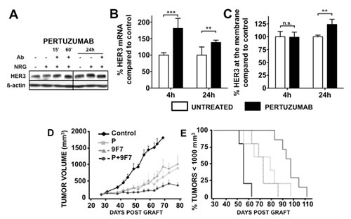 fig4