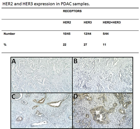fig6