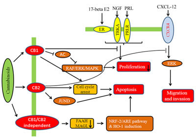 FIG3