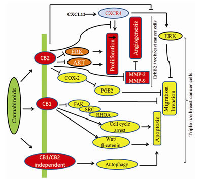 FIG4