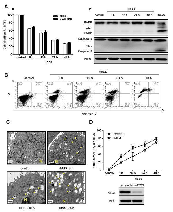 fig2