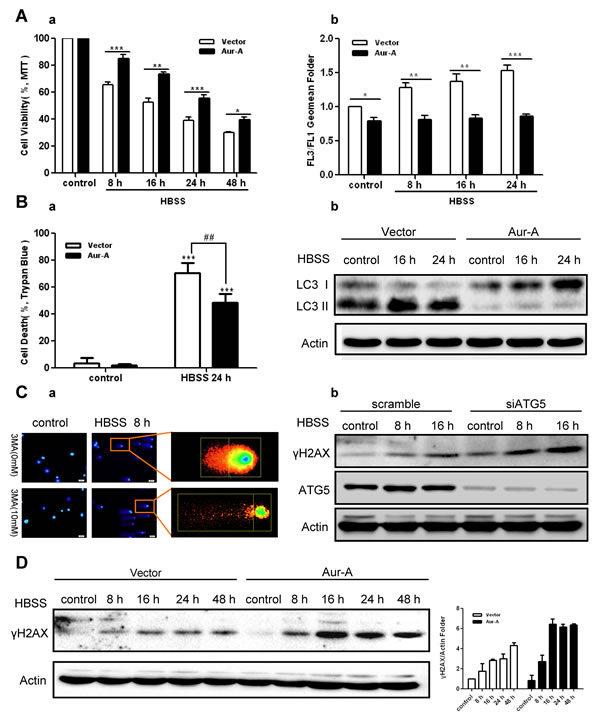 FIG3